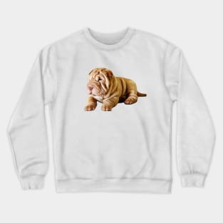 Shar Pei Cute Puppy Dog Crewneck Sweatshirt